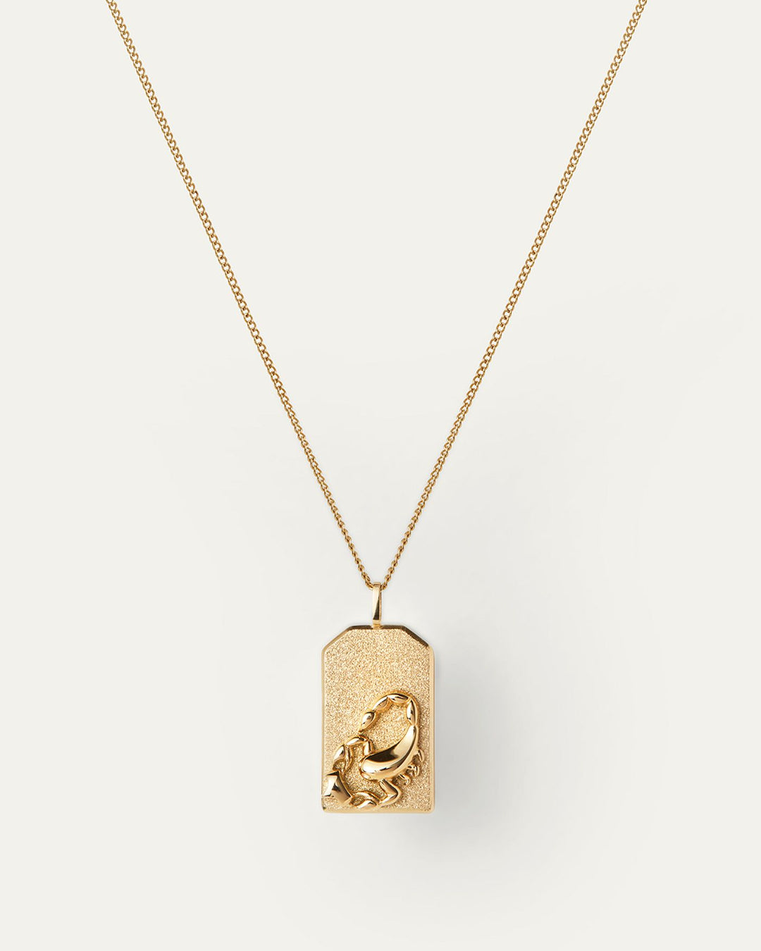 ZODIAC PENDANT NECKLACE - JENNY BIRD